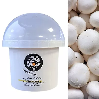 White Mushroom Dome Growing Kit - Grow Your Own Button Mushrooms • £15.99