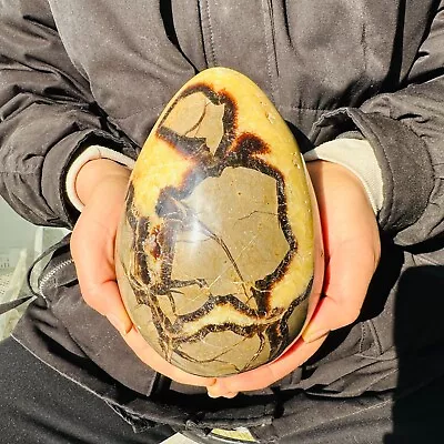 6.93LB Natural Dragon Septarian Geodetic Survey Quartz Crystal Egg Healing3150g • $0.99