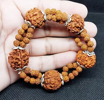 5 Face Rudraksha Bracelet 100% Real 5 Mukhi Rudraksh Wrist Bracelet Energized • $13.99