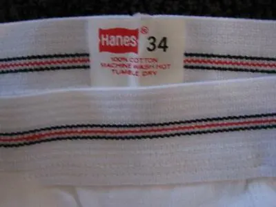$54 • Buy Vintage Underwear Hanes Mens White Brief 34 Made In USA 1970s
