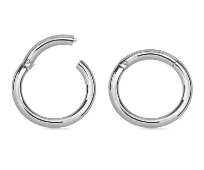 1 Steel Hinged Segment Hoop Ring Septum Nose Ear 8g 10g 12g 14g 16g 18g 20g #SG2 • $10.50