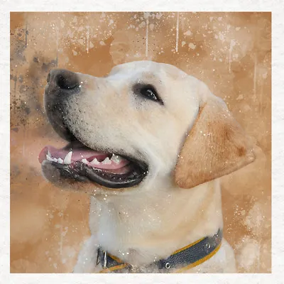 Dog -Labrador-Fabric Craft Panels In 100% Cotton Or Polyester • £2.45