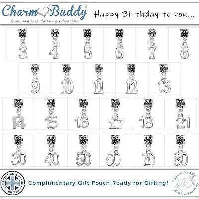Womens Girls Birthday Age Number Pendant & Gift Bag For Silver Charm Bracelets • £4.99