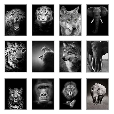 Black And White Animals Prints Poster Abstract Picture Home Room Wall Art Decor • £4.49