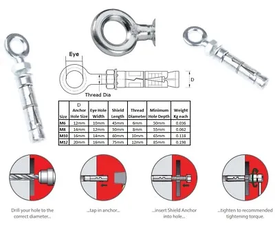 Shield Anchors Eye Bolt Concrete Masonry Fixings M6 M8 M10 M12 Eyebolts Anchor • £4.05