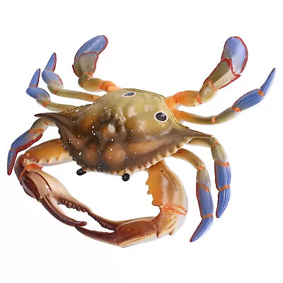 Crab Model Educational Crab Model Crab Marine Animal Model Exquisite LSO • £11.04