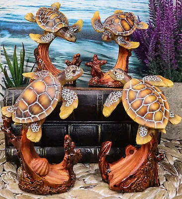 Marine Life Sea Turtles Swimming Under The Sea Reefs Collectible Figurines Set • $20.99