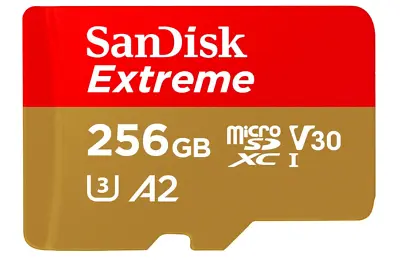 Sandisk 256GB Micro SD XC Class 10 Card 190MB/s For GoPro Hero 12 11 10 MAX • £21.99