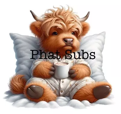 Sublimation Print Sleepy Highland Cow Ready To Press Heat Transfer • $4