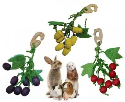 Chew Nibbler Hanging Wood Loofah Edible Treat Hamster Gerbil Rabbit Guinea Pig • £5.55