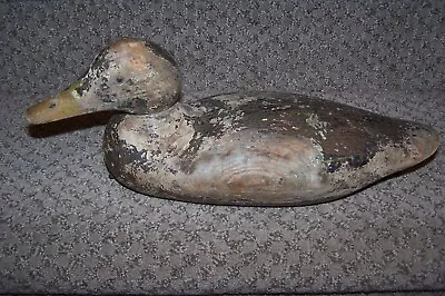 Vintage Mason Duck Decoy. Standard Grade Glass Eye Hen Mallard. Restore Bird. • $60