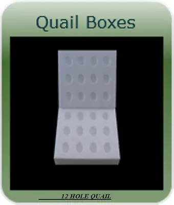 45 X 12 QUAILS HOLE POLYSTYRENE EGG BOXES HATCHING/INCUBATION 78MM THICK • £72