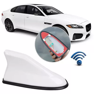 Universal FM Signal Amplifier Car Radio Aerials Shark Fin Antenna Roof Decors • £6.06