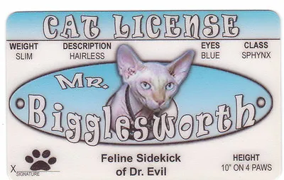 Mr Bigglesworth Feline Sidekick Cat Of Austin Powers Mike Myers Drivers License  • $8.96