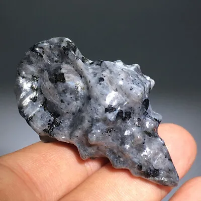 42g Natural Crystal.spectrolite.Hand-carved. Exquisite Sea Snail. Healing 72 • $0.01