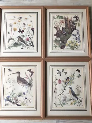 Collectionof 4 Botanical Prints By Marjorie Blamey • £40