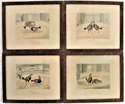 4 Scarce 1820 C.R. Stock Hand Colored Cockfighting Lithographs - 9 ¾” X 8 ¾”. • £317.38