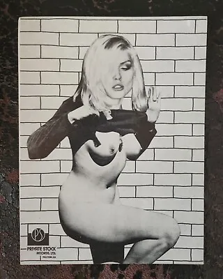 Blondie Postcard Debbie Harry Vintage Private Stock • $25