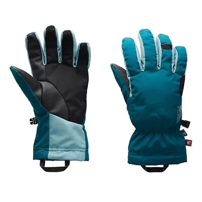 Mountain Hardwear Rotor GoreTex Infinium Glove Dive • $44.98
