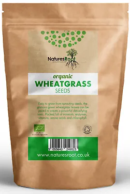 £3.99 • Buy Certified Organic Wheatgrass Seeds - Juicing | Sprouting | Cat Grass | Grinding 