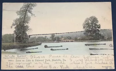 Lake In Oakwood Park Meadville PA Postcard 1906 - Attached Glitter Highlights • $6