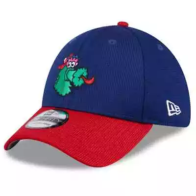 Philadelphia Phillies New Era 2024 Batting Practice 39THIRTY Flex Hat Phanatic • $88.98