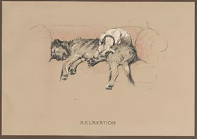 £2.99 • Buy Cecil Aldin Dog Print Cracker Bull Terrier Micky Irish Wolfhound Hunting Farm 6