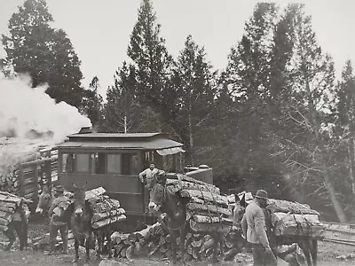 Vtg  1800's Matted Photo Lumber Train Men Mules Wood Tall Trees Helena Montana • $17.95