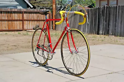 Vintage Nishiki Triathlon Men's Road Bicycle Lugged Steel 58cm Shimano 600 • $699