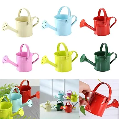 Easy Pour Metal Watering Can Long Spout Design Suitable For Indoor Plants • £6.32