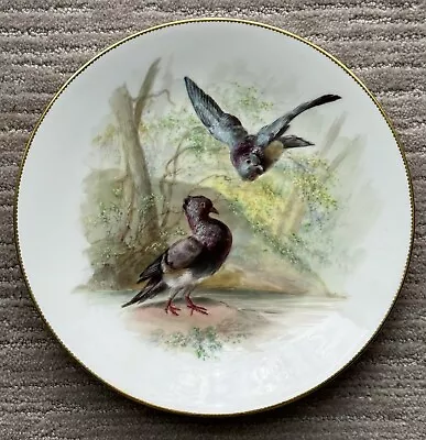 Minton Hand Painted Cabinet Plate Birds Signed William Mussill Circa 1890 • $450