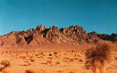 Postcard - Organ Mountains (Needle Mountains) North Of El Paso Texas 1440 • $5.35
