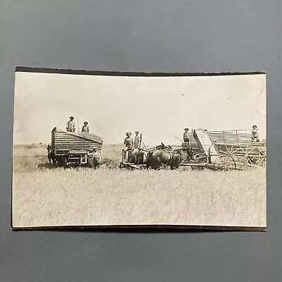 RPPC View Harvesting Wheat Horse Drawn Binder Reaper Early Agriculture • $7