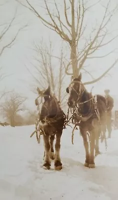 Antique February 1926 PHOTO Of Horse Drawn Sleigh In Snow • $7.95