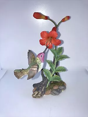 Maruri Porcelain Hummingbird Figurine Anna's Hummingbird With Trumpet Creeper • $140