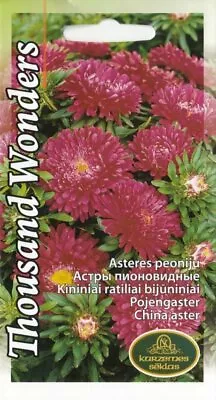 £1.89 • Buy Flower Seeds Aster Peony Thousand Wonders Red Cut Pictorial Packet UK 130 Seed