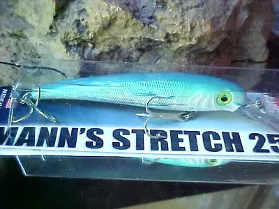 Mann's Textured Stretch 25+ BIGFISH Trolling Lure T25-15 In PINFISH NO RED HOOKS • $18.56