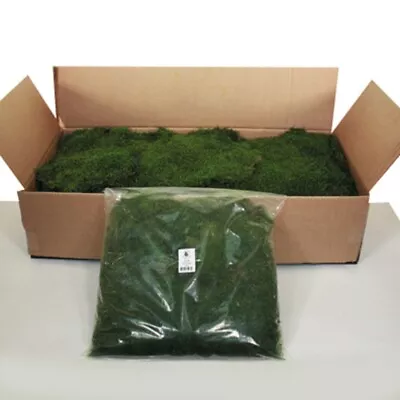 Vickerman 1.1 Pounds Bag Of Green Sheet Moss Preserved • $58.03