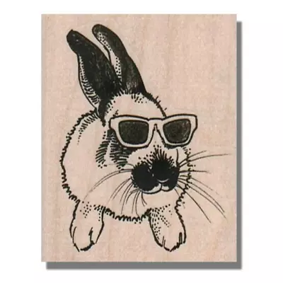 RABBIT IN SUNGLASSES Rubber Stamp Rabbit Easter Bunny Wildlife Animal Hare • $10.94