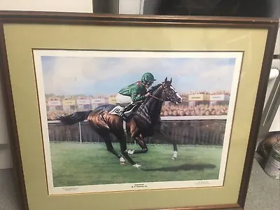 Shergar Race Horse Picture • £15