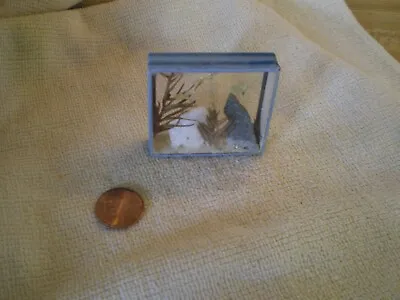 Aquarium Miniature Metal Frame Vintage NMM Fish Plants Rocks & Sand • $18