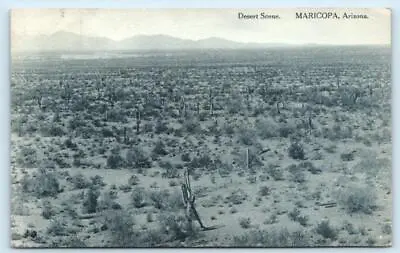 MARICOPA Arizona AZ ~ DESERT SCENE 1915  Pinal County Postcard • $7.98