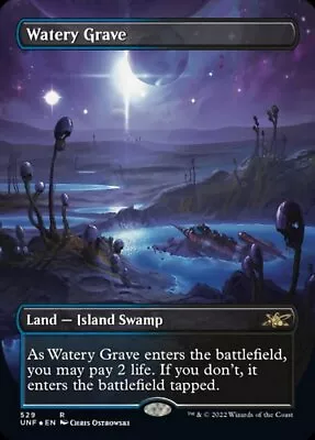 MTG - UNF - Watery Grave (Borderless) (Galaxy Foil) Near Mint Foil #529 • $235.40