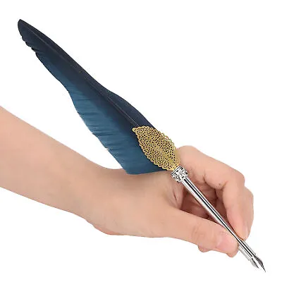 Quill Pen Set Feather Calligraphy Pen With Empty Ink Bottle And Metal Nib SG5 • £9.40