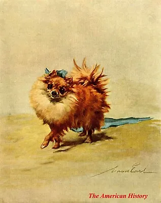 3448 Earl Maud (1864-1943) - 1910 Power Of The Dog - Pomeranian Miniatures • $10.62