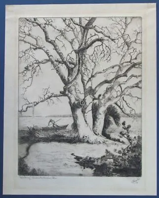 WALTER R. LOCKE (1883-1949) Landscape Etching Early 1900's HICKORY TREE Florida • $253.30