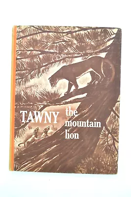 Tawny The Mountain Lion By Rhoda Leonard And William S. Briscoe - 1964 • $14.99