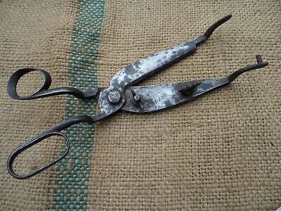 Rare Vintage Carpet Makers Trimming Scissors Tool • $69