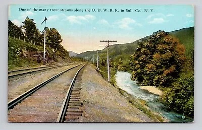 Postcard O&W Railroad Sull County New York NY Antique G15 • $5.49