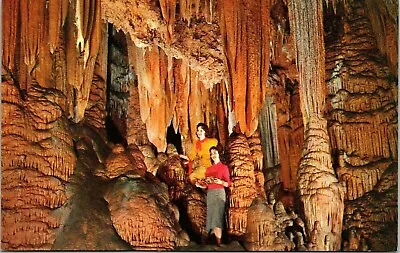 $1.75 • Buy Largest Cavern Cave Va Luray Virginia Vistors VTG Postcard UNP WOB Vintage